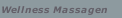 Wellness Massagen